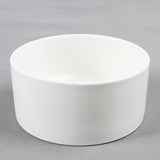 Cat and dog food bowl dog bowl